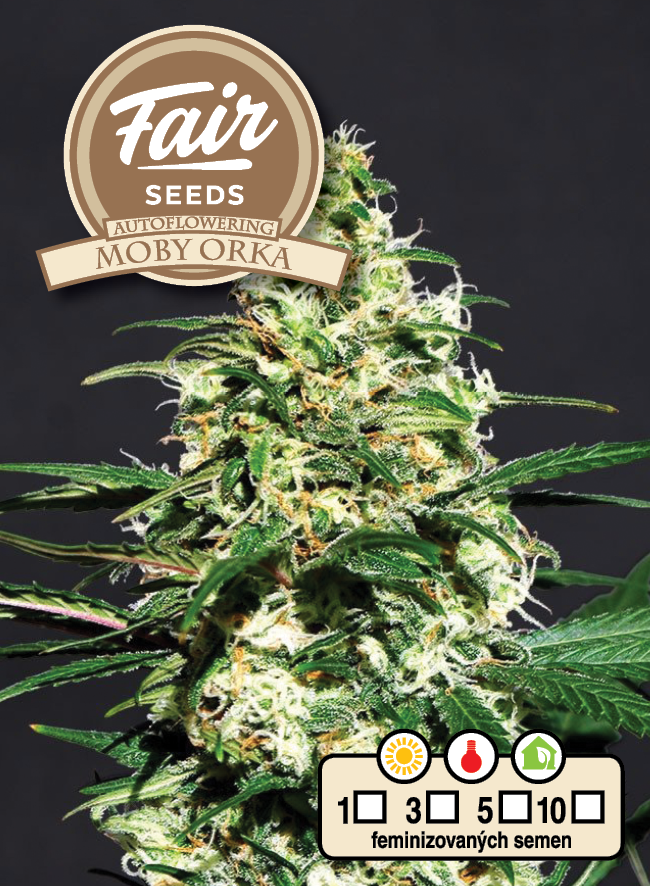 Fair Seeds Auto Moby Orka samonakvétací feminizovaná semena