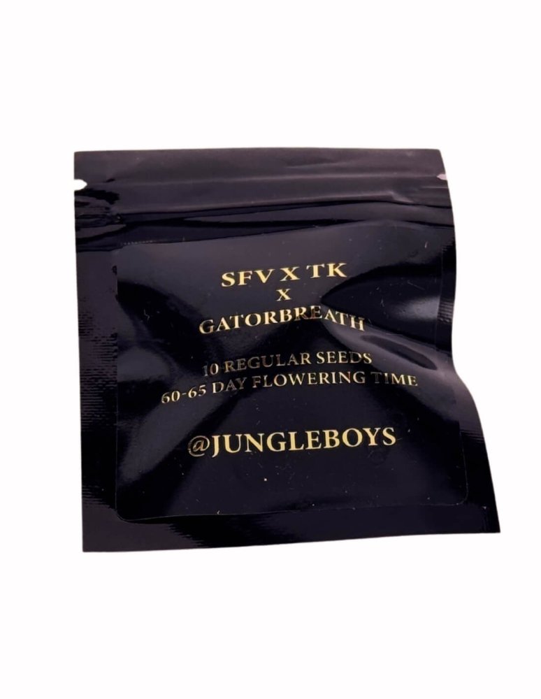 Jungle Boys Gatorbreath x SFV x Triangle Kush regulérní semena