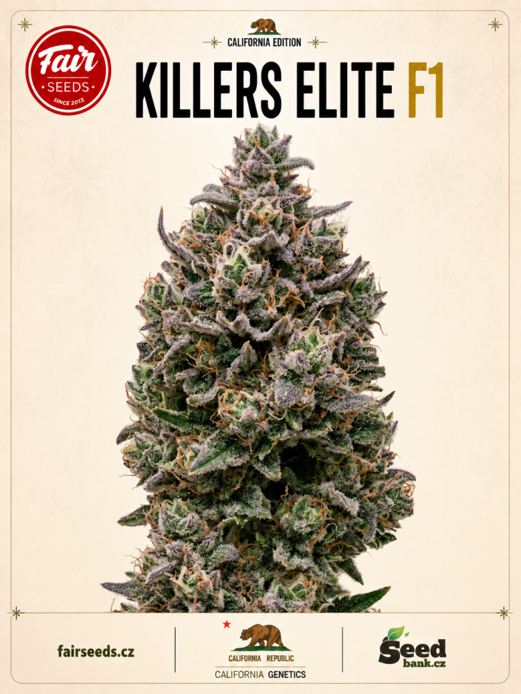 Fair Seeds Killers Elite F1 feminizovaná semena