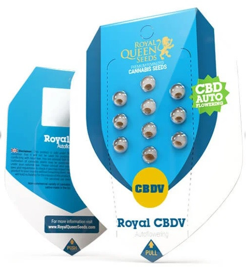 Royal CBDV Automatic - samokvitnúce semená 10 ks Royal Queen Seeds