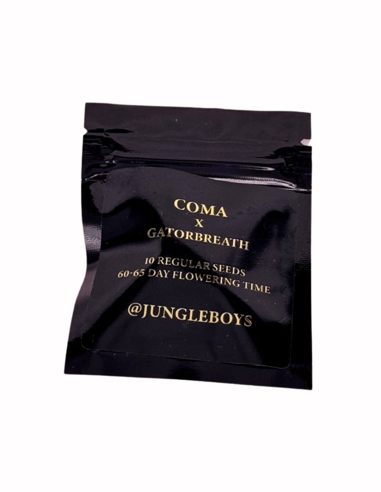 Jungle Boys Seeds Gatorbreath x Coma regulérní semena