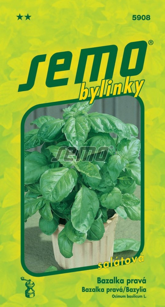 Bazalka pravá Lettuce Leaf