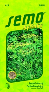 Fenykl obecný – semena bylinky