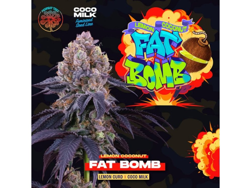 Perfect Tree Seeds Lemon Coconut Fat Bomb feminizovaná semena