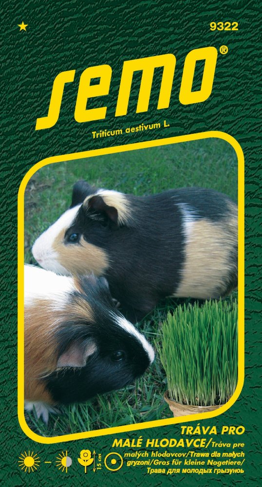 Tráva pro malé hlodavce, semena