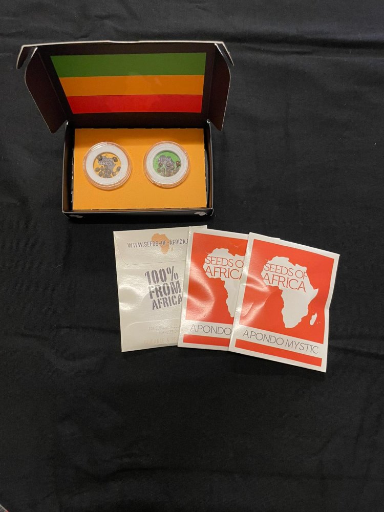 Seeds of Africa Apondo Mystic semena, 50 ks