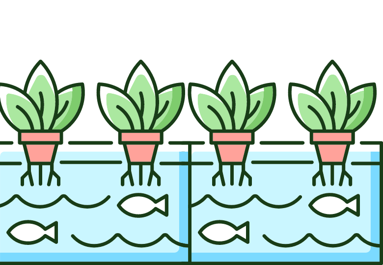 Výhody akvaponického pěstování konopí