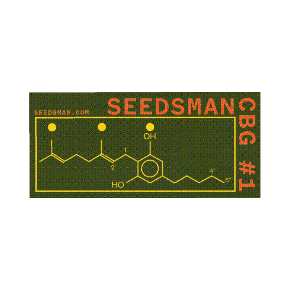 Seedsman CBG #1 feminizovaná semena