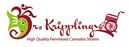 Dr Krippling Mix C samonakvétací feminizovaná semena