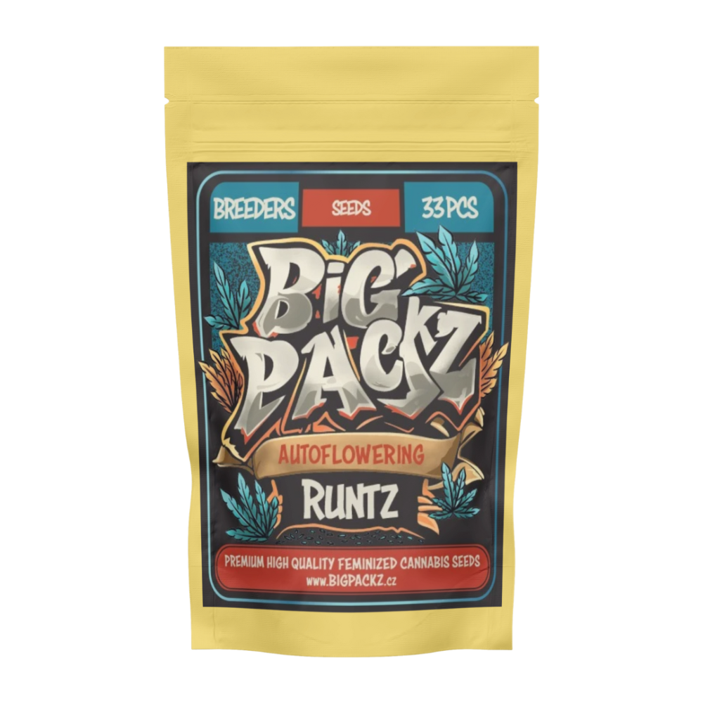 Big Packz Runtz Auto samonakvétací semena